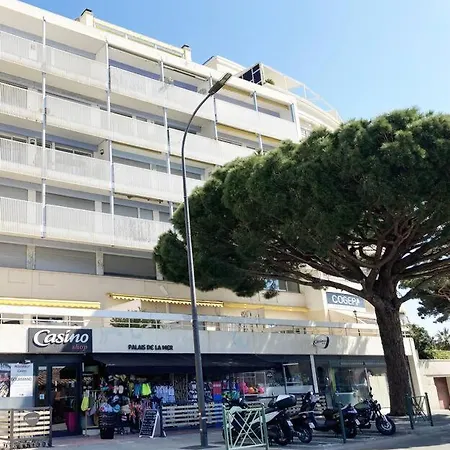 Grand Duplex Climatise Avec Terrasse Face A La Appartement