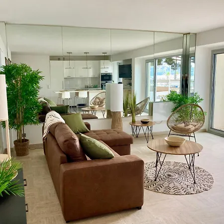 Appartement Grand Duplex Climatise Avec Terrasse Face A La
