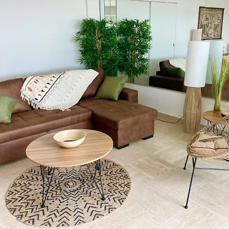 Grand Duplex Climatise Avec Terrasse Face A La Appartement